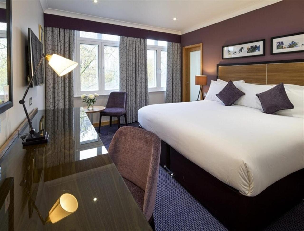 The Rembrandt 4*